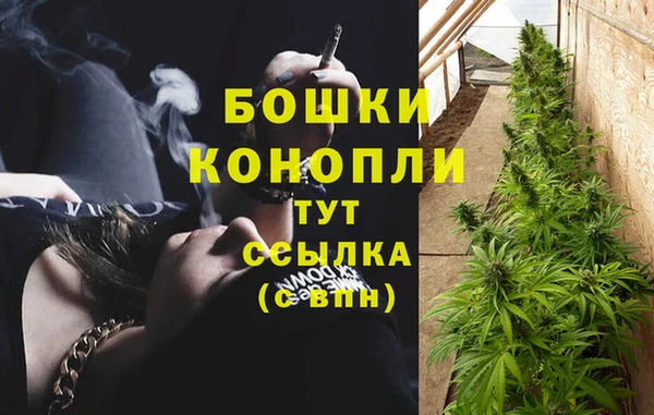 ALPHA-PVP Медногорск