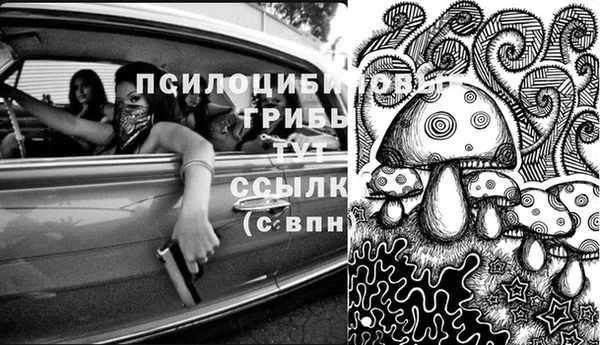 spice Медвежьегорск