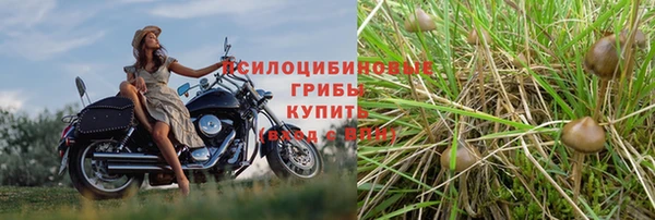 2c-b Мегион